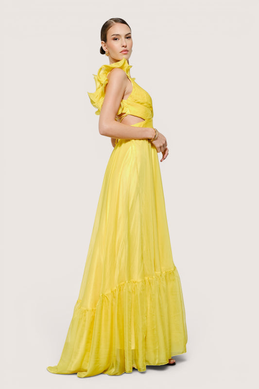 V260514 red yellow