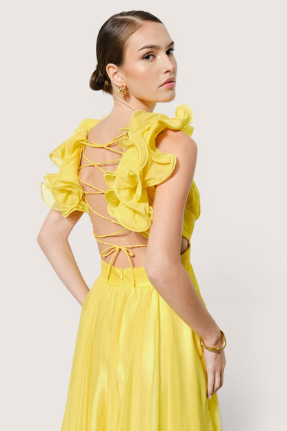 V260514 red yellow